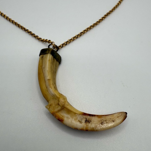 Gold Tooth Pendant Necklace - Picture 2 of 5